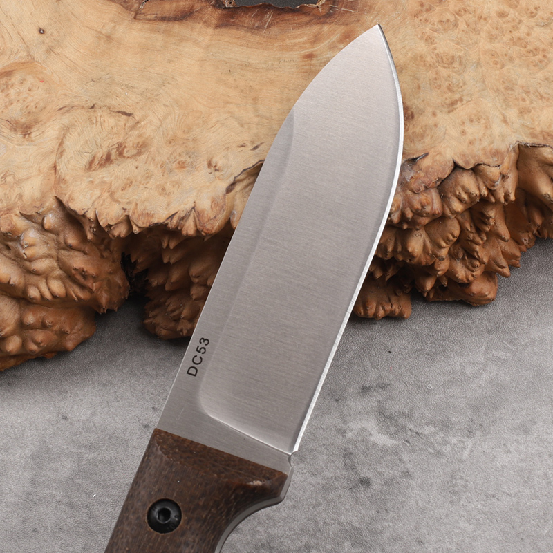 DC53 geïntegreerd staal linnen - Survival Knife Full Tang recensie en prijs